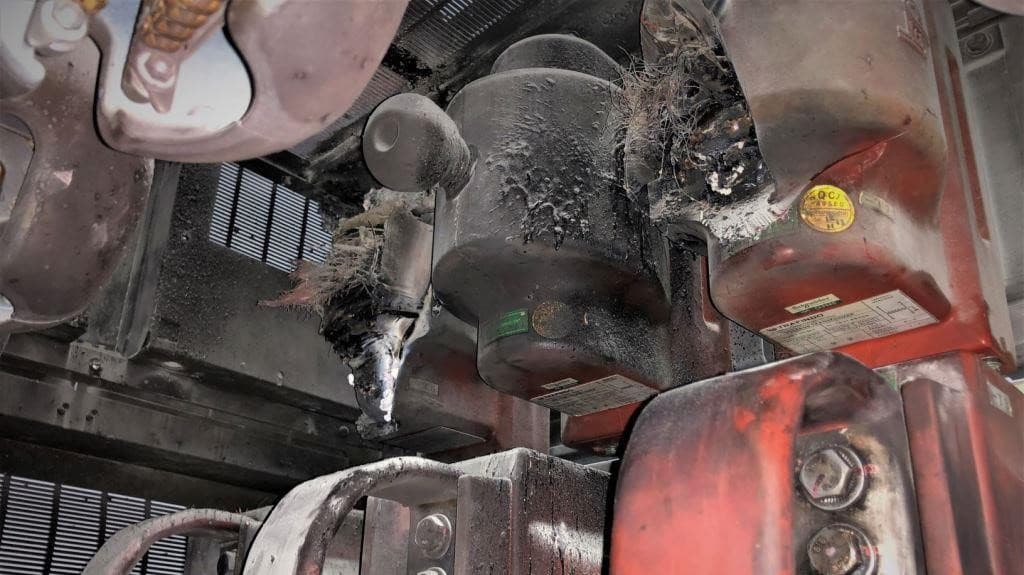 Partial Discharge (PD) Scan & Insulation Diagnostics